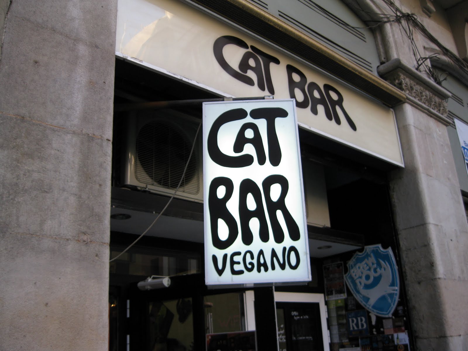 Cat Bar Barcelona Cat Bar Barcelona