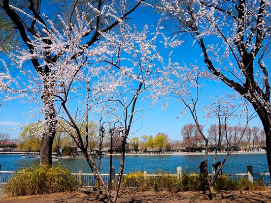 10 cosas que ver en Pekín (Parte I) 10 cosas que ver en Pekín (Parte I)