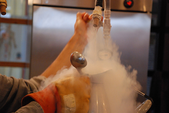 caffetterie-piu-strane-del-mondo