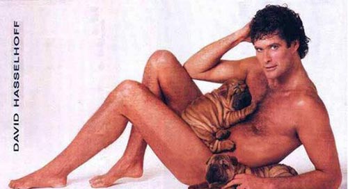 david hasselhoff