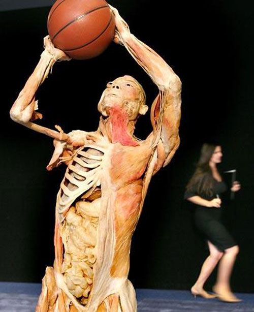 Expo Bodies en Nueva York