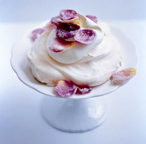 Dale perfume a tu vida