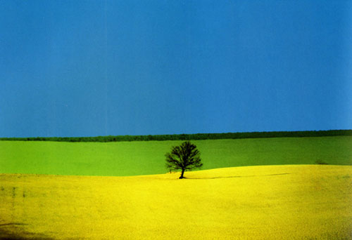 Franco Fontana en Valencia Franco Fontana en Valencia