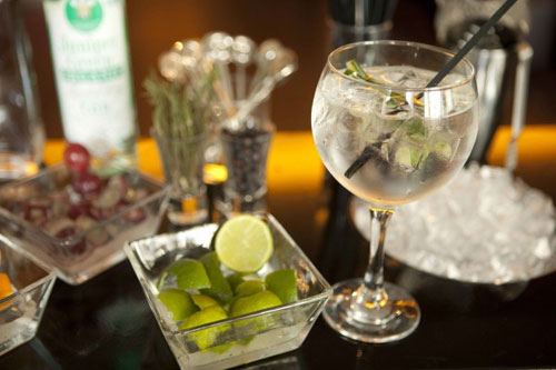 Gin Tonic con glamour en Barcelona Gin Tonic con glamour en Barcelona