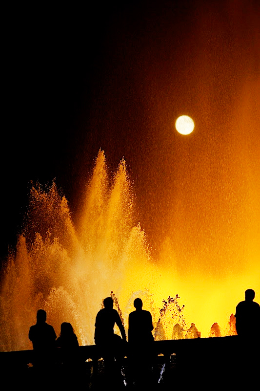 Andando voy por Montjuïc. Museos, Jardines y Otras Actividades