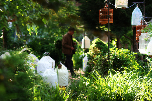 Los 6 secretos principales de Nueva York