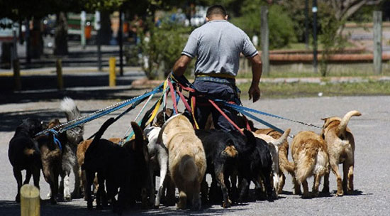 Candela VizcaÃno Only-apartments Author