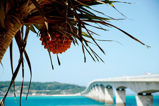 Playas paradisíacas en Okinawa (Japón) Playas paradisíacas en Okinawa (Japón)