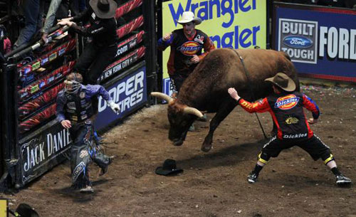 Professional Bull Riders en Nueva York