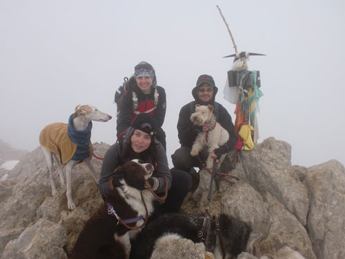 Botes i Potes: Senderismo con Perros en Barcelona Botes i Potes: Senderismo con Perros en Barcelona