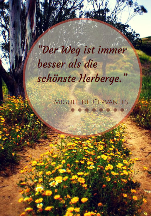 cervantes-quote-de