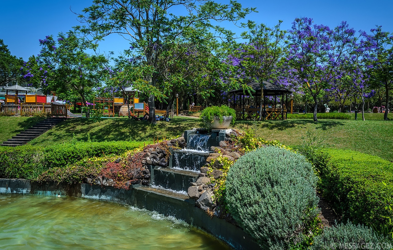 Monsanto Forest Park in Lisbon Image By Messagez.com