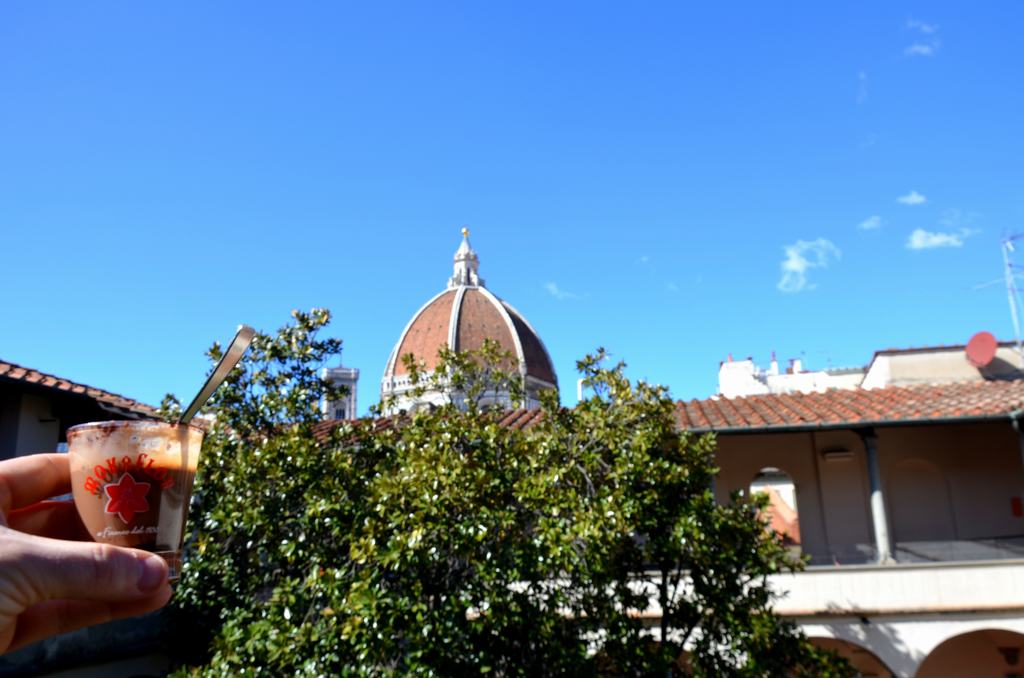 Miradores de Florencia Miradores de Florencia