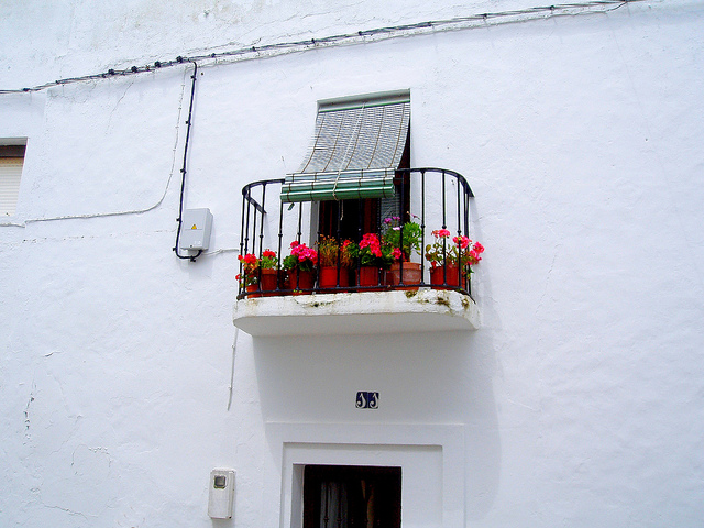 barbate