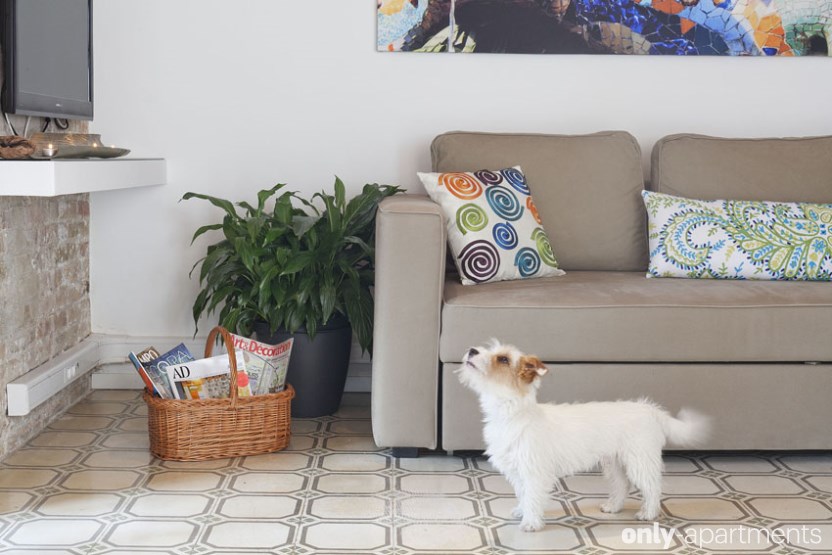 Día Mundial de los Animales: Apartamentos para viajar con mascotas Día Mundial de los Animales: Apartamentos para viajar con mascotas