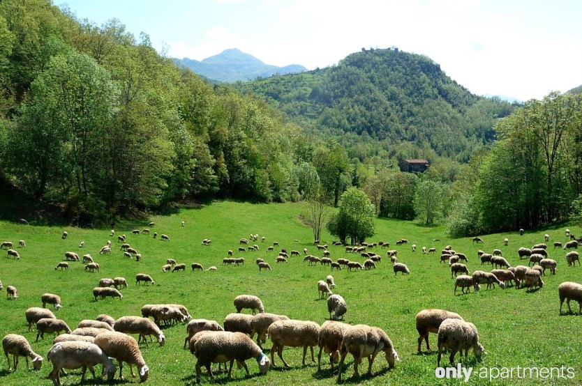 Escapadas con niños para afrontar la vuelta al cole
