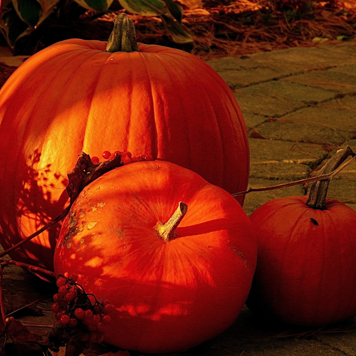 10 destinos para un Halloween de muerte 10 destinos para un Halloween de muerte