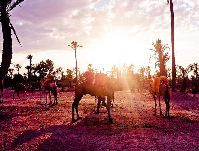 marrakech