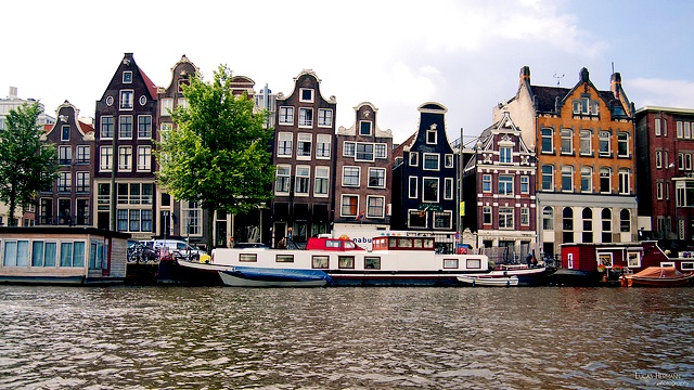 amsterdam reasons7
