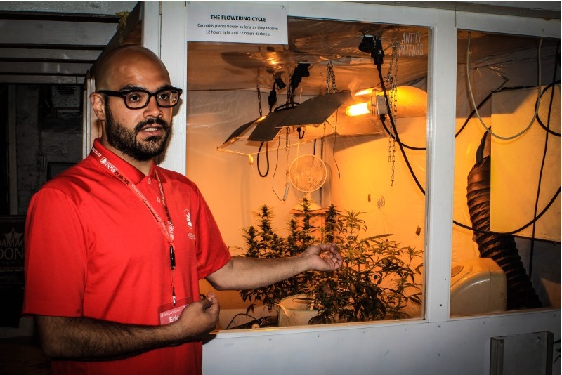 Amsterdam free coffee shops tour