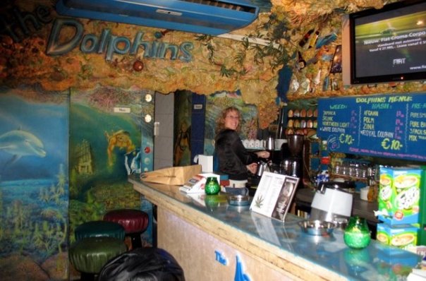 coffe shgops amsterdam the dolphins