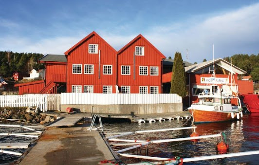 Vacanze alternative - Fiordi norvegia